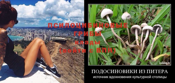 крисы Беломорск