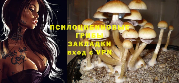 метамфетамин Белокуриха